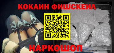 крисы Кулебаки