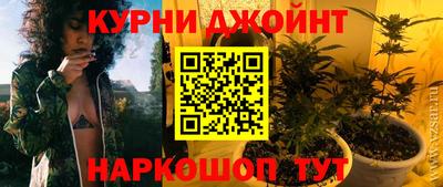 крисы Кулебаки