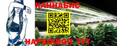 крисы Кулебаки