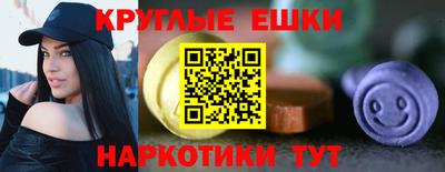крисы Кулебаки