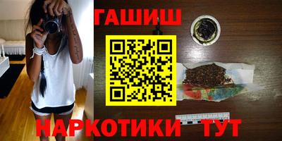 крисы Кулебаки